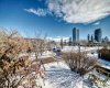 1703 11 Avenue, Calgary, Alberta T3C 0N5, 1 Bedroom Bedrooms, ,1 BathroomBathrooms,Residential,For Sale,11,A2303043