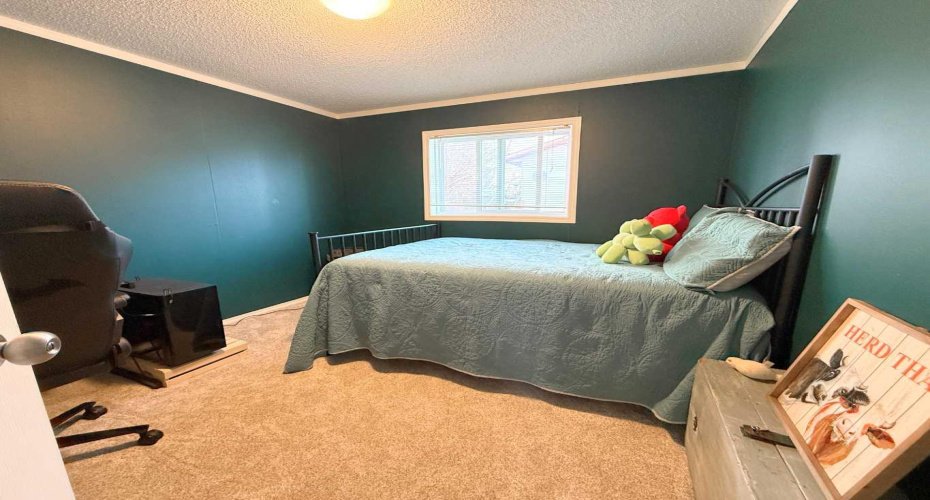 5006 51 Street, Colinton, Alberta T0G 0R0, 4 Bedrooms Bedrooms, ,2 BathroomsBathrooms,Residential,For Sale,51,A2303045