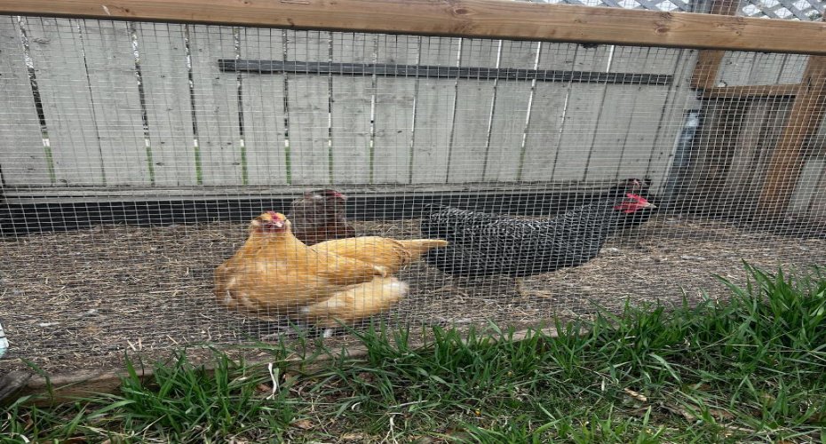 1 ALBERTA Avenue, Sunnyslope, Alberta T0M 1J0, 1 Bedroom Bedrooms, ,1 BathroomBathrooms,Residential,For Sale,ALBERTA,A2303435