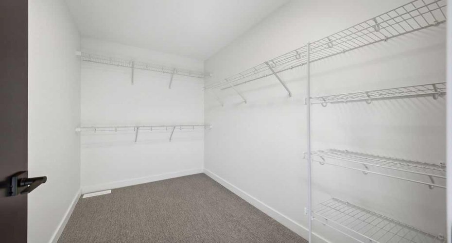 Primary Walk-in Closet