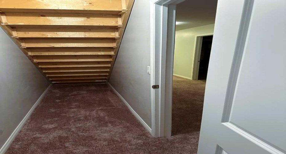 Under the Stairs Storage