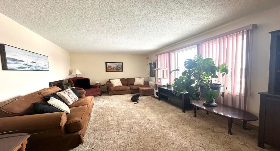 5240 50 Avenue, Holden, Alberta T0B2C0, 3 Bedrooms Bedrooms, ,1 BathroomBathrooms,Residential,For Sale,50,A2296133