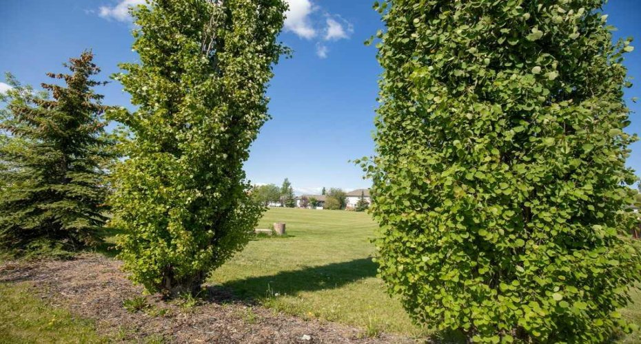 431 Carriage Lane Crossing, Carstairs, Alberta T0M 0N0, 5 Bedrooms Bedrooms, ,3 BathroomsBathrooms,Residential,For Sale,Carriage Lane,A2296251