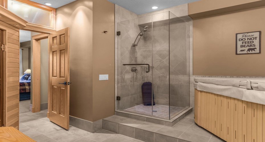 Large walk-in shower & hot tub