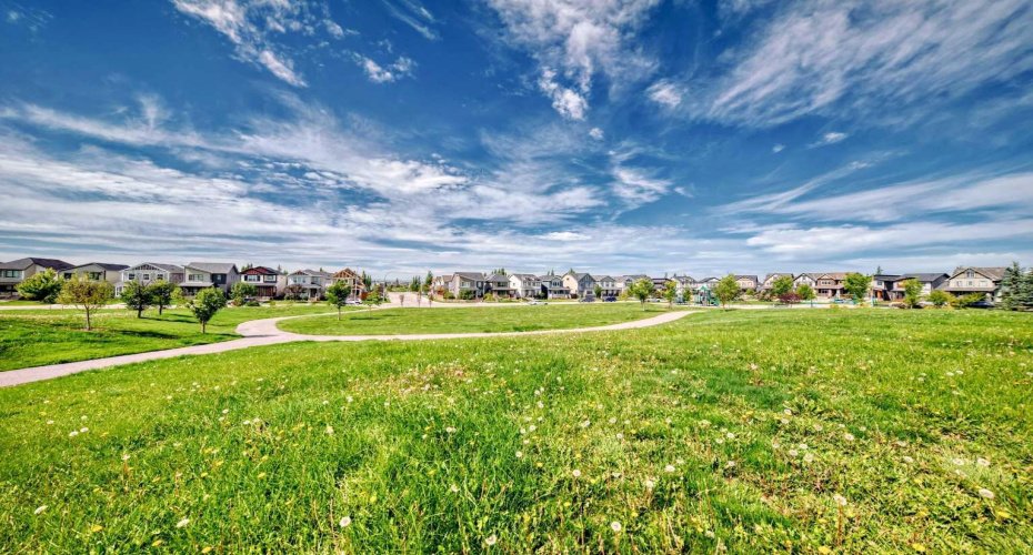 Greenspace adjacent to building