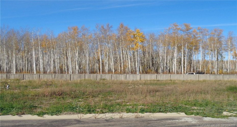 17 Bear Creek Drive, High Level, Alberta T0H 1Z0, ,Land,For Sale,Bear Creek,GP214488