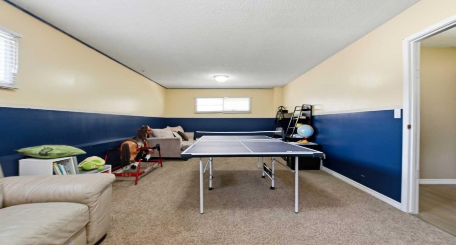 Basement - Rec Room