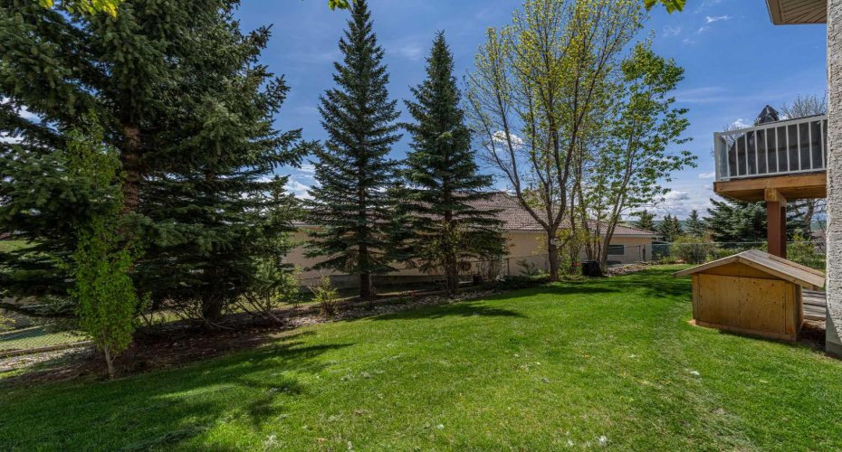 Very private well maintained yard with mature trees