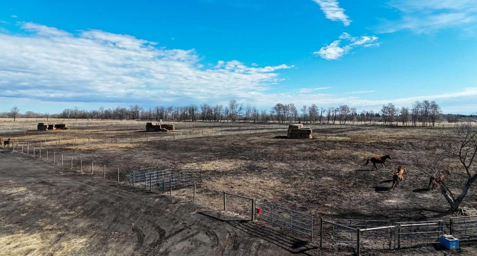 1250 343A Township, Rural Red Deer County, Alberta T0M0K0, 1 Bedroom Bedrooms, ,1 BathroomBathrooms,Residential,For Sale,343A,A2304259