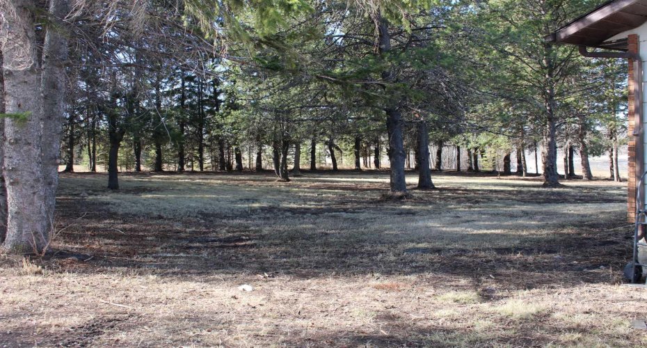 1250 343A Township, Rural Red Deer County, Alberta T0M0K0, 1 Bedroom Bedrooms, ,1 BathroomBathrooms,Residential,For Sale,343A,A2304259