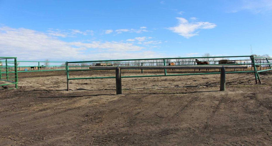 1250 343A Township, Rural Red Deer County, Alberta T0M0K0, 1 Bedroom Bedrooms, ,1 BathroomBathrooms,Residential,For Sale,343A,A2304259