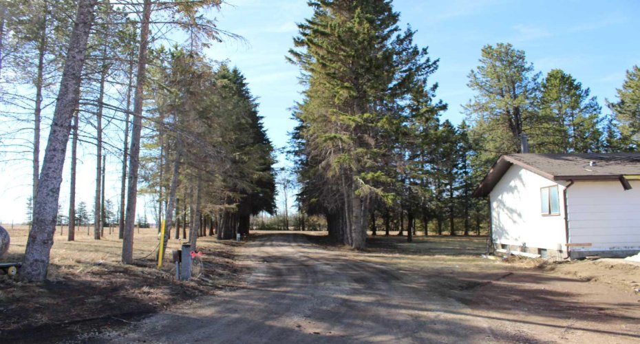 1250 343A Township, Rural Red Deer County, Alberta T0M0K0, 1 Bedroom Bedrooms, ,1 BathroomBathrooms,Residential,For Sale,343A,A2304259