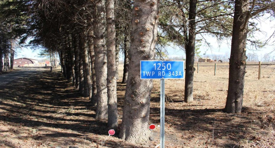 1250 343A Township, Rural Red Deer County, Alberta T0M0K0, 1 Bedroom Bedrooms, ,1 BathroomBathrooms,Residential,For Sale,343A,A2304259