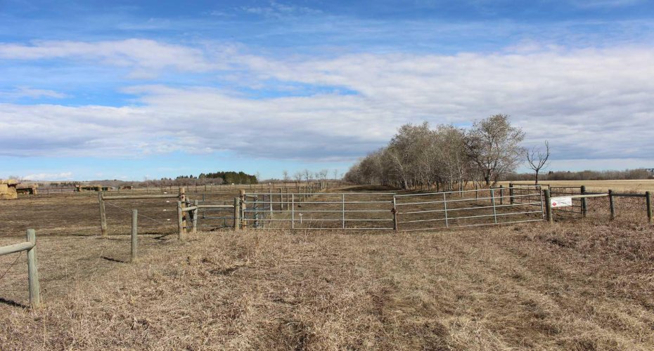 1250 343A Township, Rural Red Deer County, Alberta T0M0K0, 1 Bedroom Bedrooms, ,1 BathroomBathrooms,Residential,For Sale,343A,A2304259