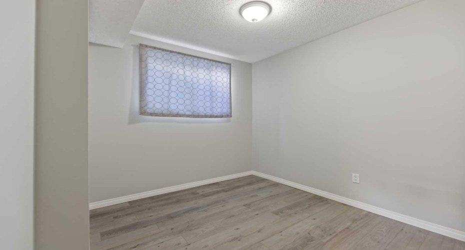 Basement Bedroom