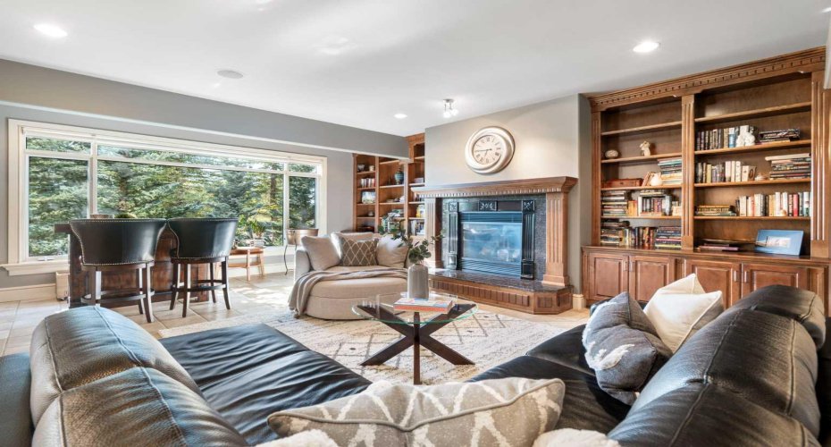 Living Area- Basement