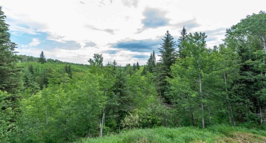 62407 Range Road 431, Ardmore, Alberta T9M 1P3, 3 Bedrooms Bedrooms, ,4 BathroomsBathrooms,Residential,For Sale,Range Road 431,A2304341