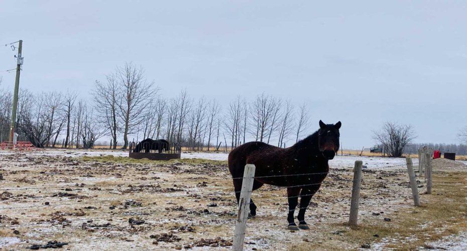 56120 Range Road 93, Mayerthorpe, Alberta T7S 1N3, 3 Bedrooms Bedrooms, ,2 BathroomsBathrooms,Residential,For Sale,Range Road 93,A2304342