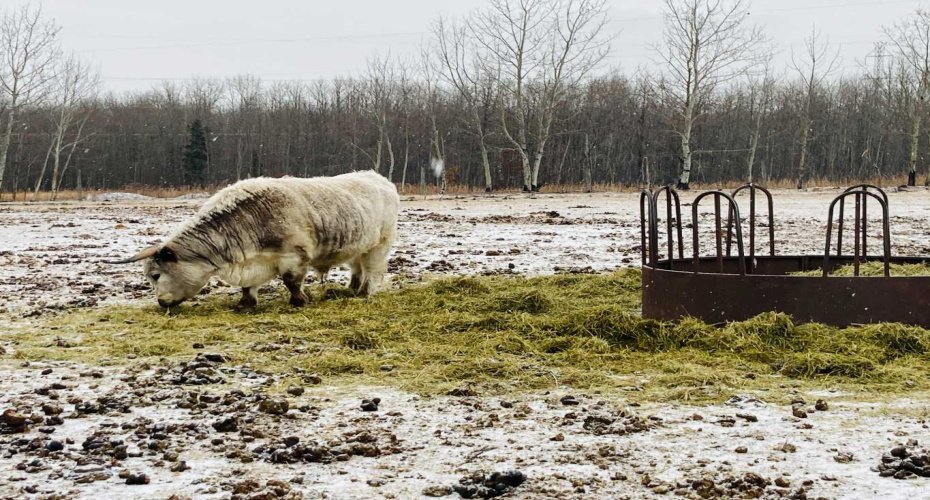 56120 Range Road 93, Mayerthorpe, Alberta T7S 1N3, 3 Bedrooms Bedrooms, ,2 BathroomsBathrooms,Residential,For Sale,Range Road 93,A2304342