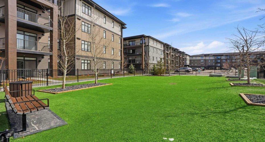 Central Courtyard with Fenced Dog Run