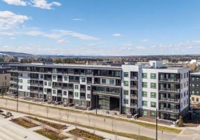4160 Norford Avenue, Calgary, Alberta T3B6L8, 1 Bedroom Bedrooms, ,1 BathroomBathrooms,Residential,For Sale,Norford,A2301585