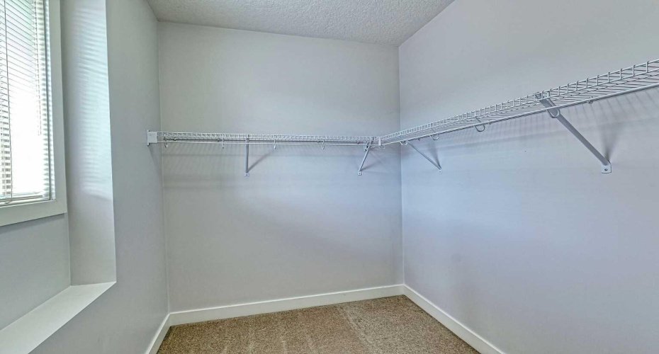 Huge Walk-in Closet