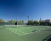 Tennis Courts