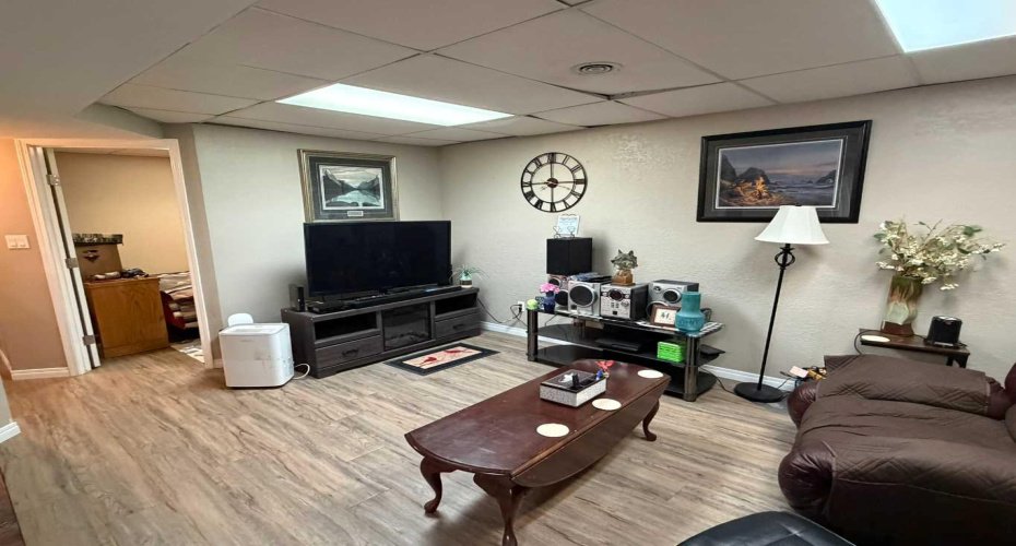 Family room basement