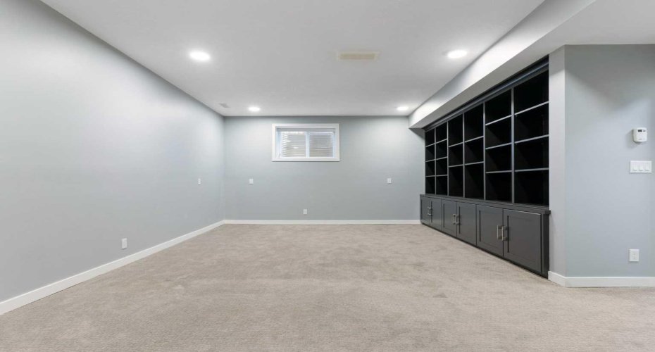 Basement Family Room
