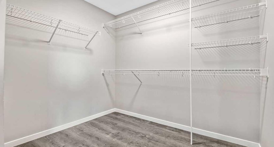 Primary Bedroom Walk-in Closet