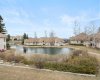 Patterson Bluffs, pond and pathways.