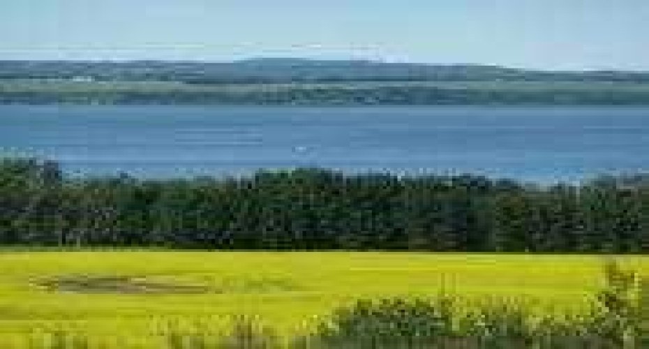 420069 Range Road 284, Rural Ponoka County, Alberta T4J 1R3, ,Land,For Sale,Range Road 284,A2305340