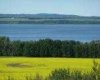 420069 Range Road 284, Rural Ponoka County, Alberta T4J 1R3, ,Land,For Sale,Range Road 284,A2305341