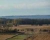 420069 Range Road 284, Rural Ponoka County, Alberta T4J 1R3, ,Land,For Sale,Range Road 284,A2305341