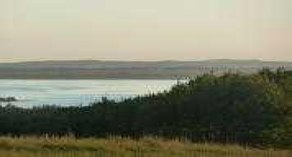 420069 Range Road 284, Rural Ponoka County, Alberta T4J 1R3, ,Land,For Sale,Range Road 284,A2305344