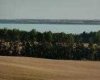 420069 Range Road 284, Rural Ponoka County, Alberta T4J 1R3, ,Land,For Sale,Range Road 284,A2305346