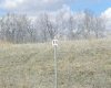 420069 Range Road 284, Rural Ponoka County, Alberta T4J 1R3, ,Land,For Sale,Range Road 284,A2305348