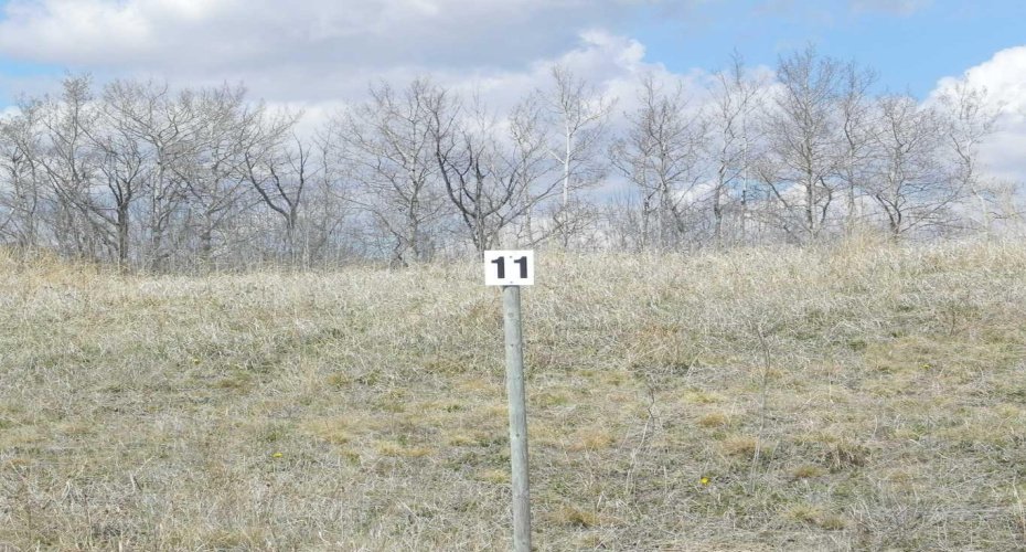 420069 Range Road 284, Rural Ponoka County, Alberta T4J 1R3, ,Land,For Sale,Range Road 284,A2305348