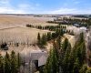21108 B Township Road 461, Rural Camrose County, Alberta T0B 3L0, 3 Bedrooms Bedrooms, ,2 BathroomsBathrooms,Residential,For Sale,Township Road 461,A2305433