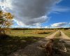 744044 Range Road 51, Rural Grande Prairie No. 1, County of, Alberta T0H3C0, 4 Bedrooms Bedrooms, ,3 BathroomsBathrooms,Residential,For Sale,Range Road 51,A2290406