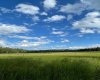744044 Range Road 51, Rural Grande Prairie No. 1, County of, Alberta T0H3C0, 4 Bedrooms Bedrooms, ,3 BathroomsBathrooms,Residential,For Sale,Range Road 51,A2290406