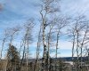 215 Wintergreen Road, Rural Rocky View County, Alberta T0L 0K0, ,Land,For Sale,Wintergreen,C4290335