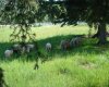 215 Wintergreen Road, Rural Rocky View County, Alberta T0L 0K0, ,Land,For Sale,Wintergreen,C4290335
