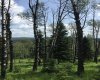 215 Wintergreen Road, Rural Rocky View County, Alberta T0L 0K0, ,Land,For Sale,Wintergreen,C4290335
