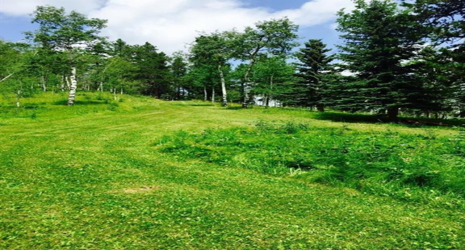 215 Wintergreen Road, Rural Rocky View County, Alberta T0L 0K0, ,Land,For Sale,Wintergreen,C4290335