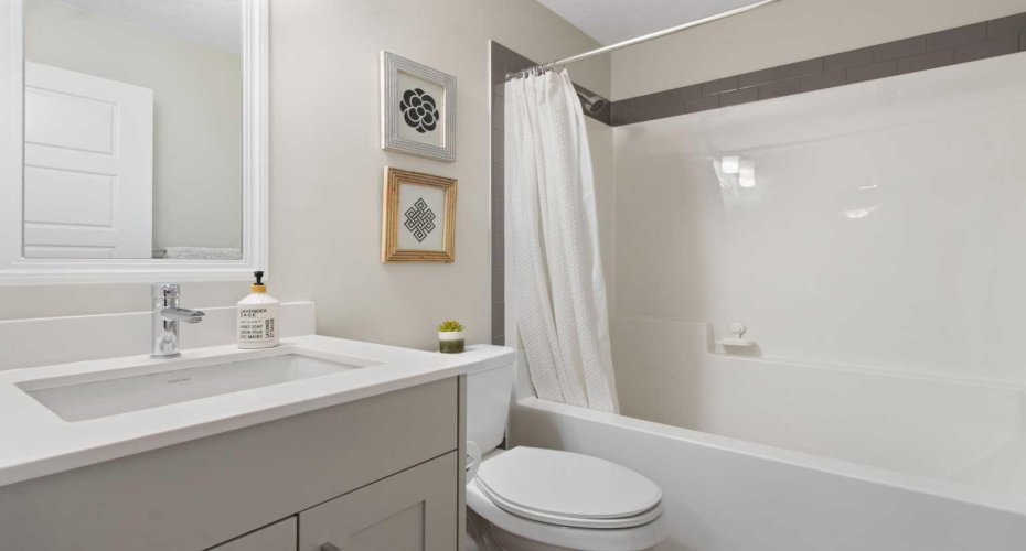 Lower level 4 pc bathroom