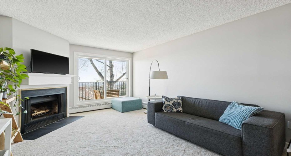 Cozy fireplace. Brand new carpet throughout the unit. And, look at that view!