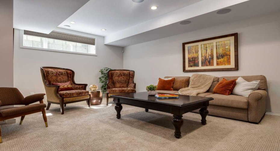 Lower level family room