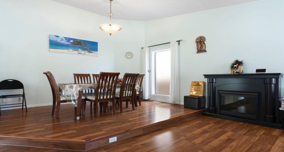 ElectricMain Fireplace- Main