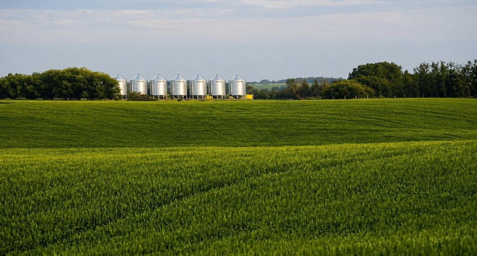 Field View 1,085 Acres of farmland for sale west of Two Hills Alberta Listed by Steve LeBlanc FarmForSale.ca